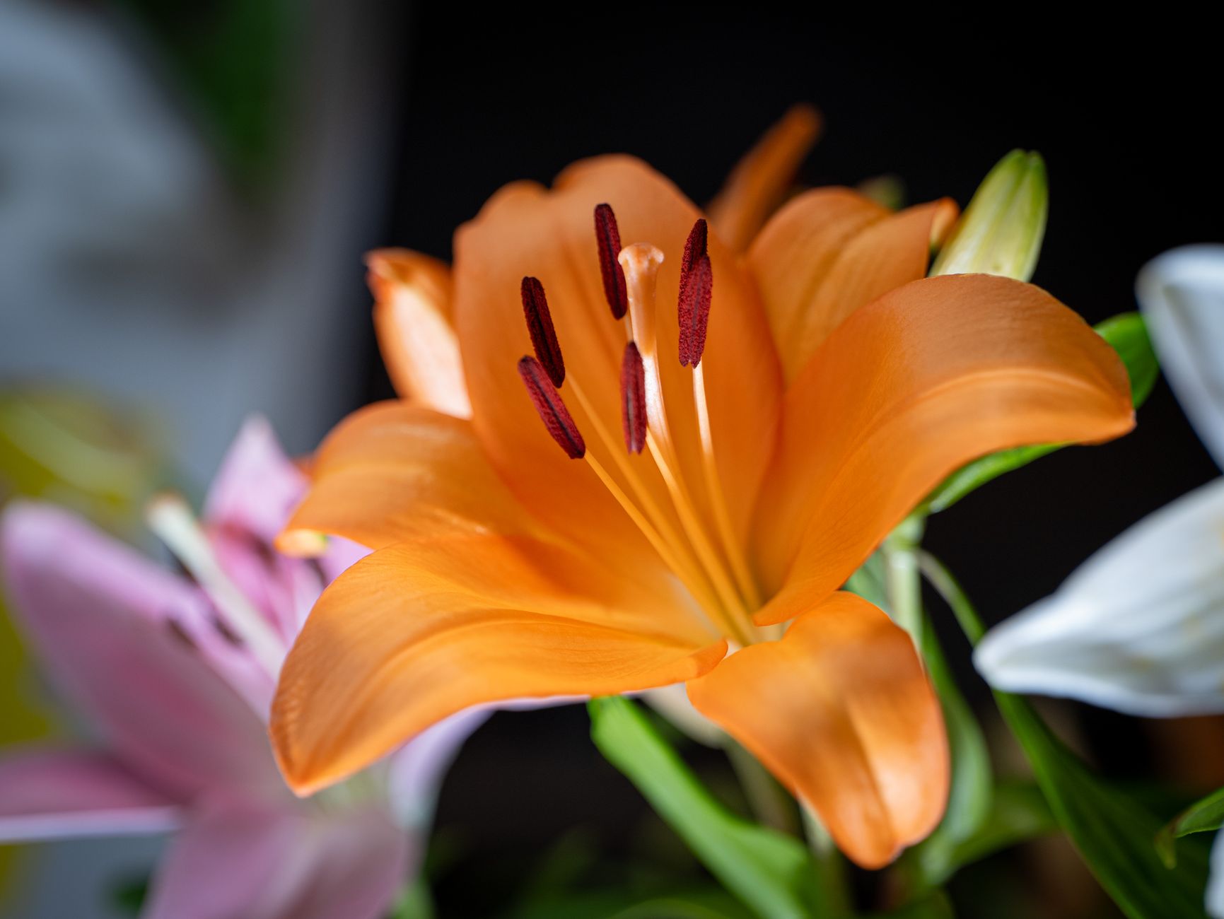 Livraison fleurs Saint-Fons